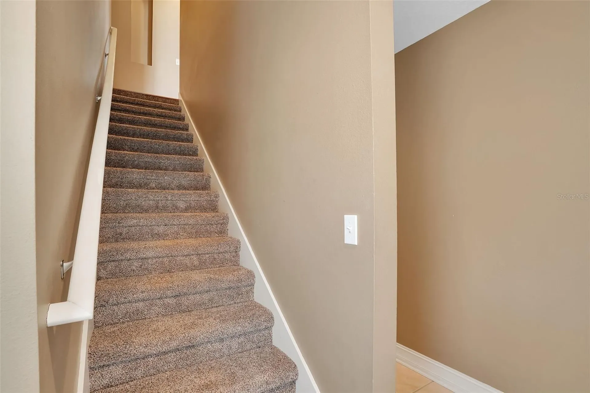 3102 Toscana Circle Tampa FL 33611