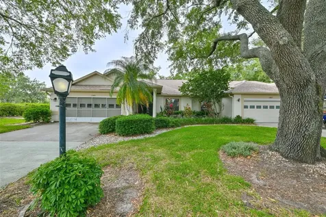 1209 Litchfield Drive Sun City Center FL 33573