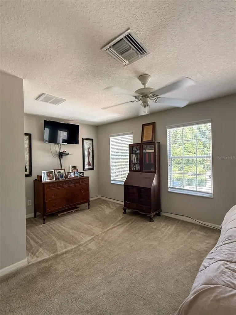 17535 Stinchar Drive Land O Lakes FL 34638