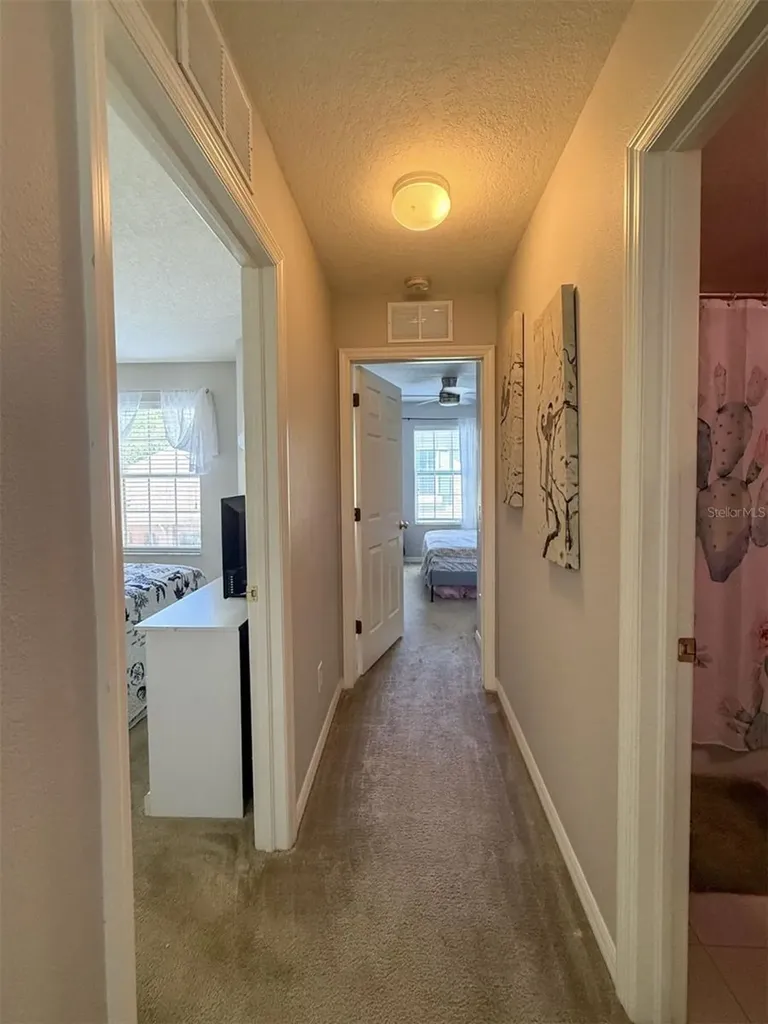 17535 Stinchar Drive Land O Lakes FL 34638