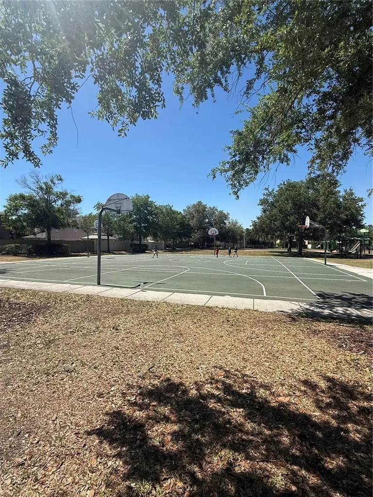 17535 Stinchar Drive Land O Lakes FL 34638