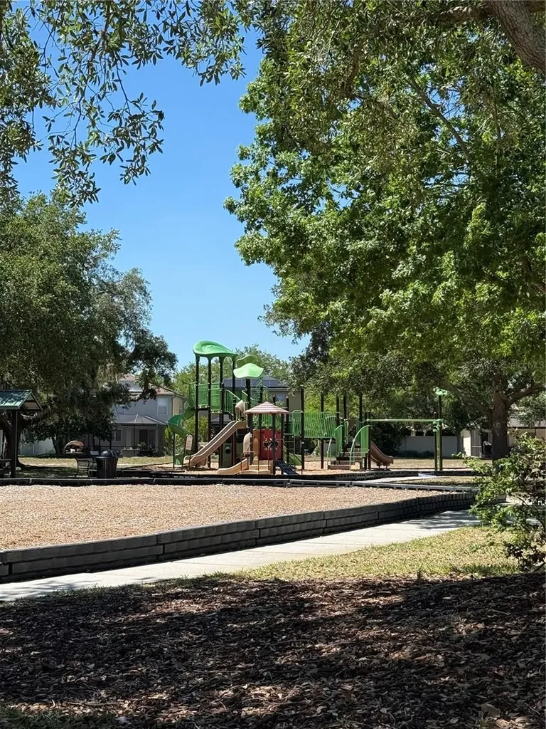 17535 Stinchar Drive Land O Lakes FL 34638