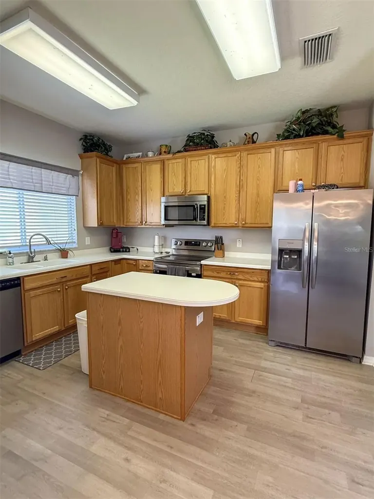 17535 Stinchar Drive Land O Lakes FL 34638