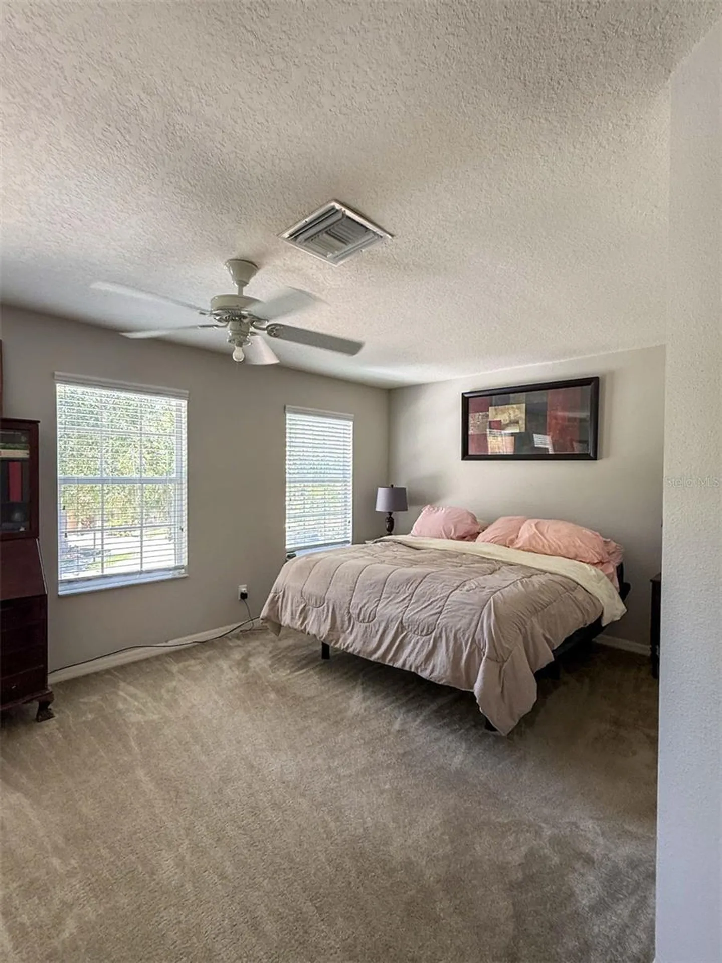 17535 Stinchar Drive Land O Lakes FL 34638