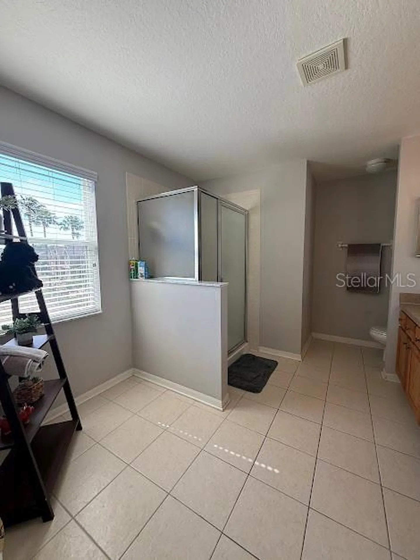 17535 Stinchar Drive Land O Lakes FL 34638