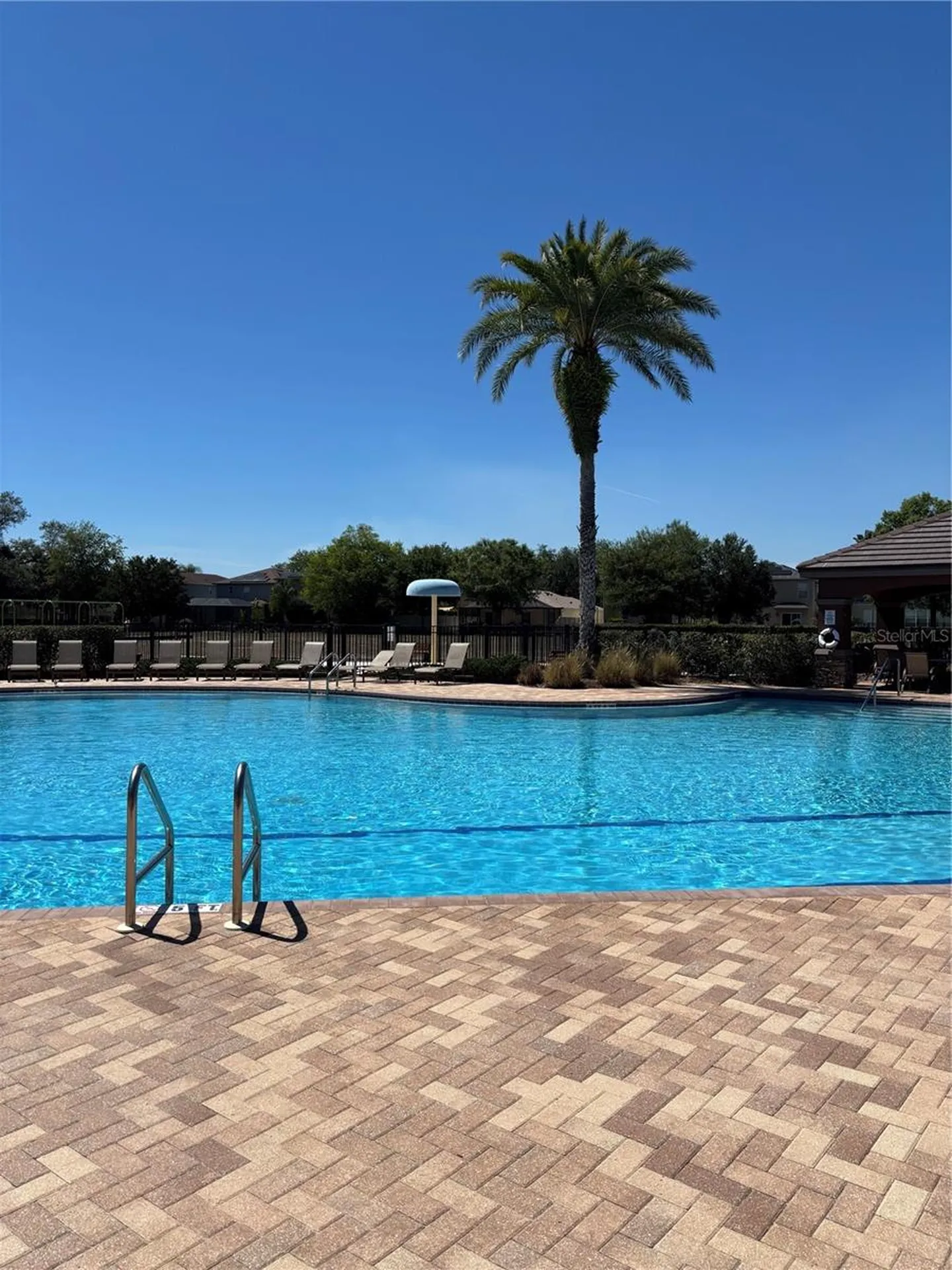 17535 Stinchar Drive Land O Lakes FL 34638