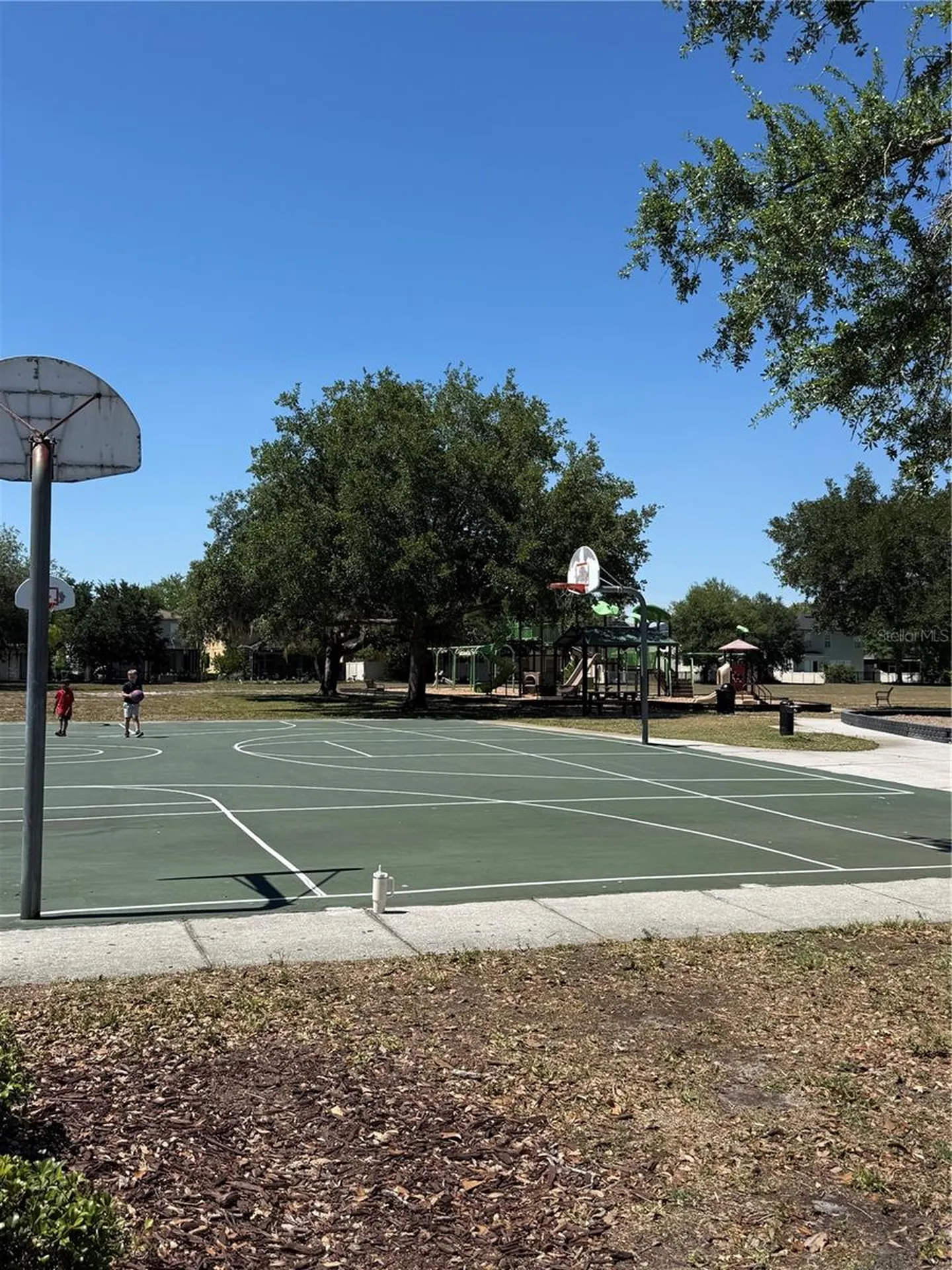 17535 Stinchar Drive Land O Lakes FL 34638