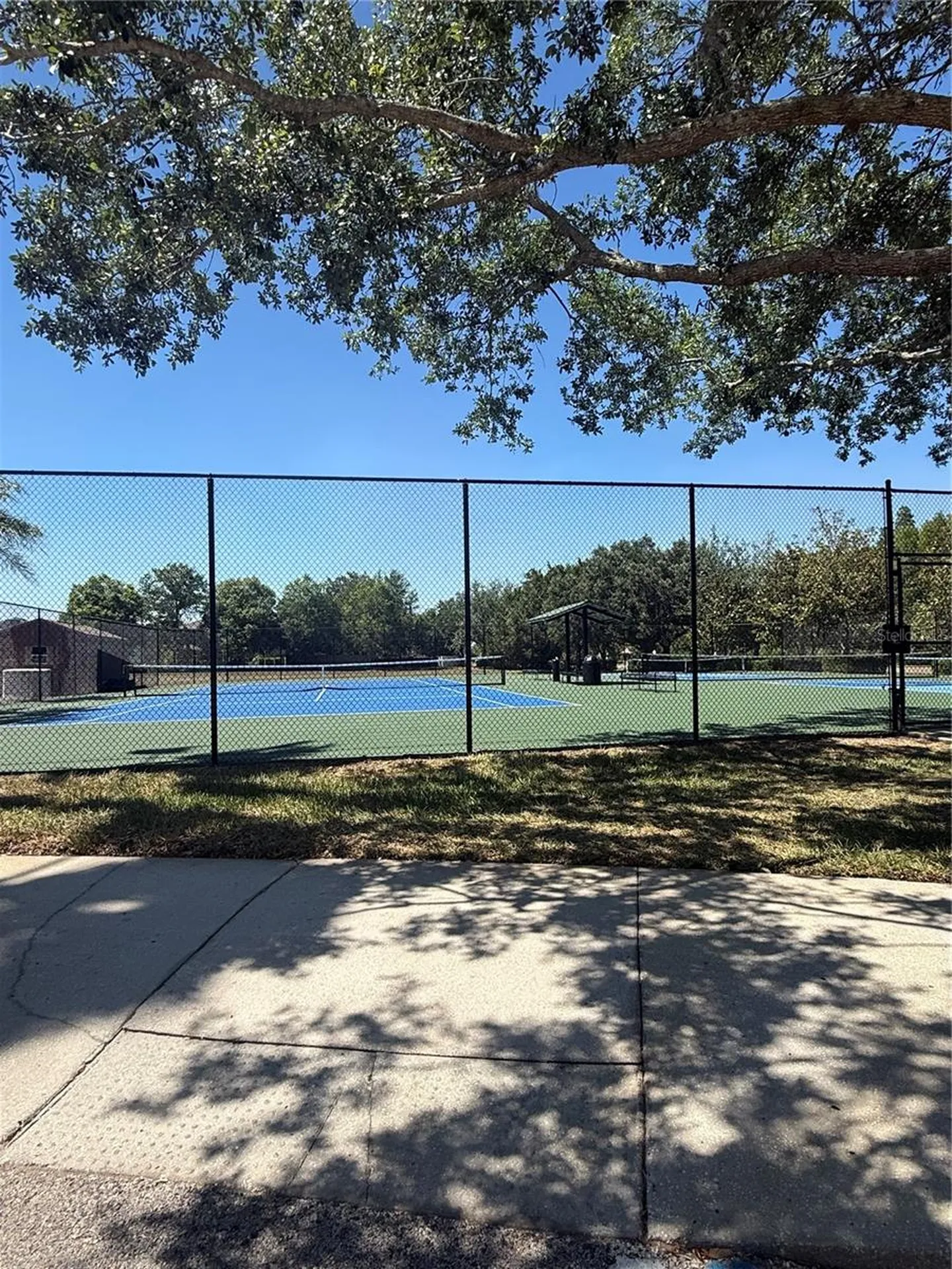 17535 Stinchar Drive Land O Lakes FL 34638