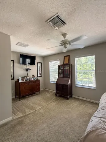 17535 Stinchar Drive Land O Lakes FL 34638