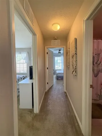 17535 Stinchar Drive Land O Lakes FL 34638