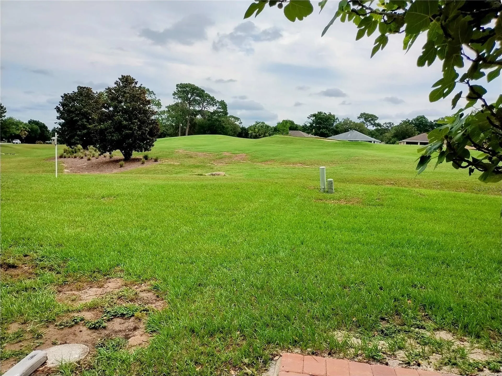 9013 SW 91st Circle Ocala FL 34481