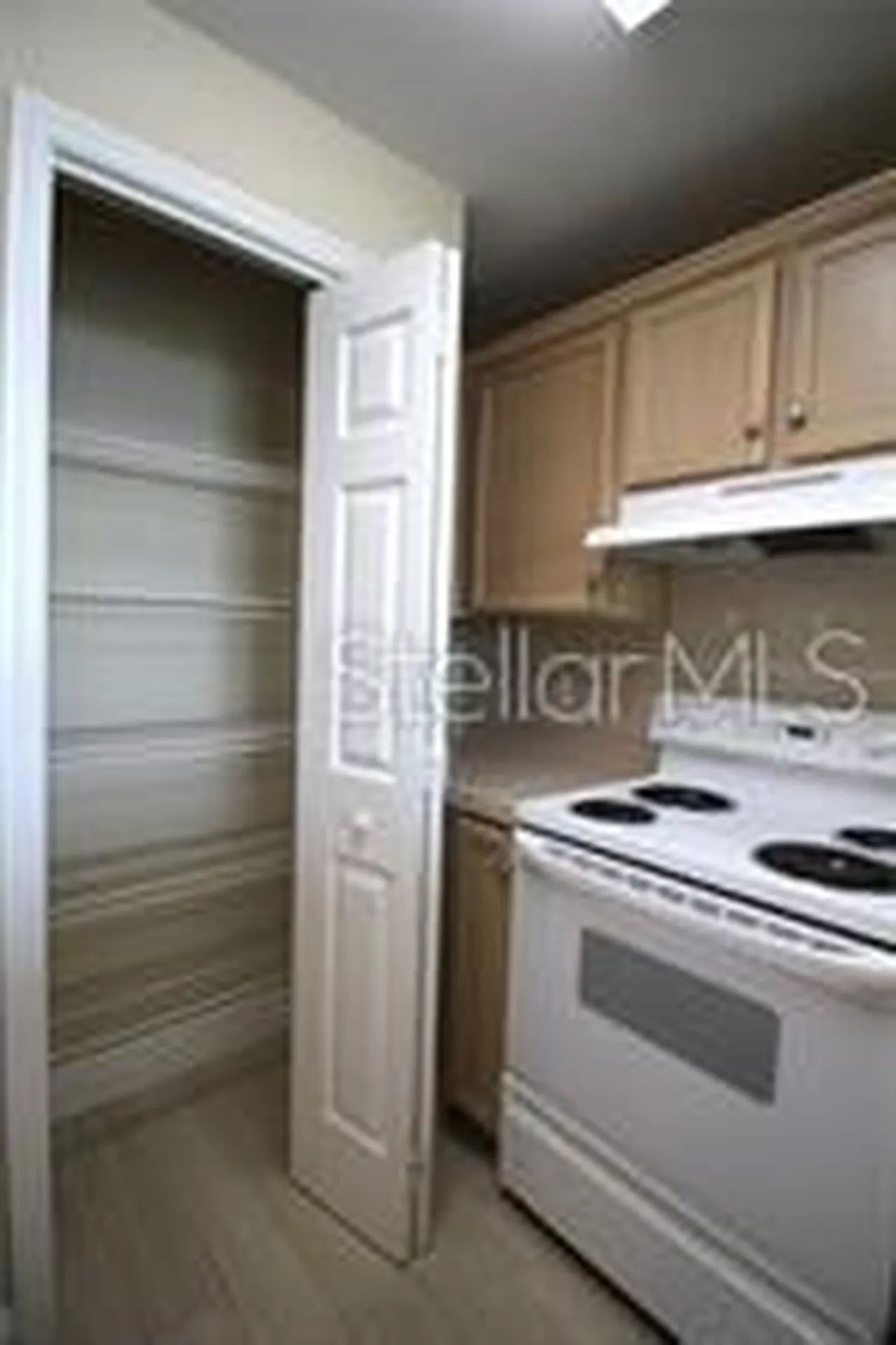 345 Bayshore Boulevard Tampa FL 33606