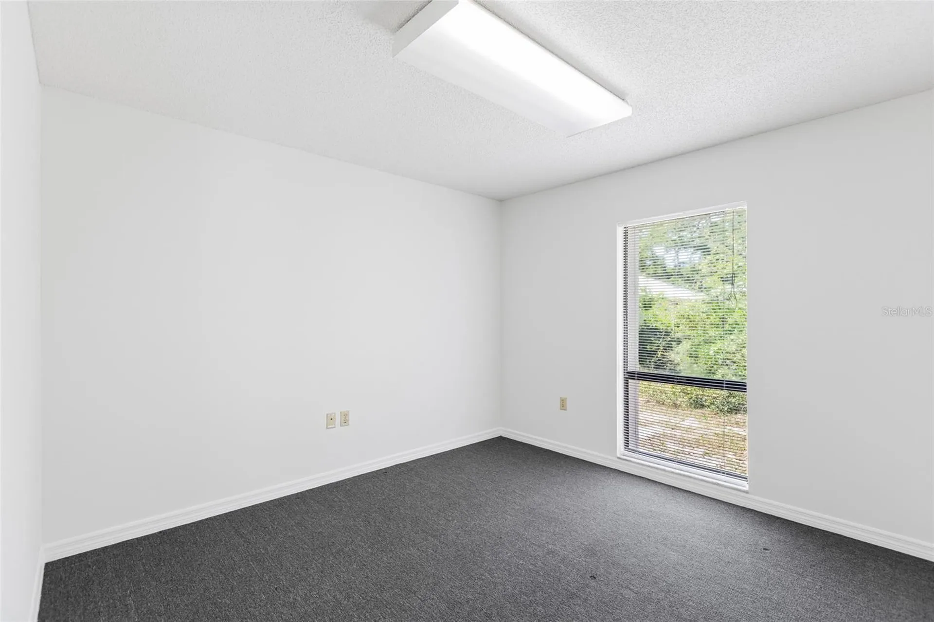 13308 Winding Oak Court Tampa FL 33612