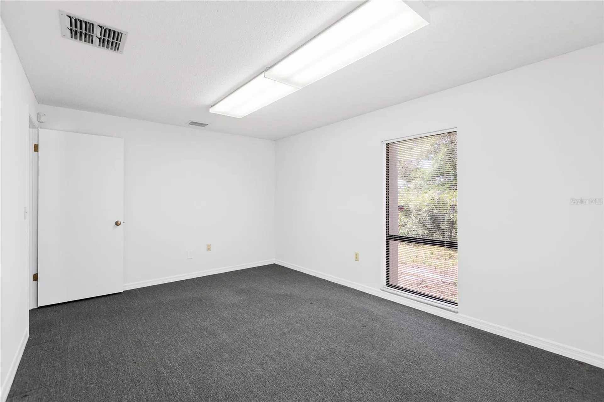 13308 Winding Oak Court Tampa FL 33612