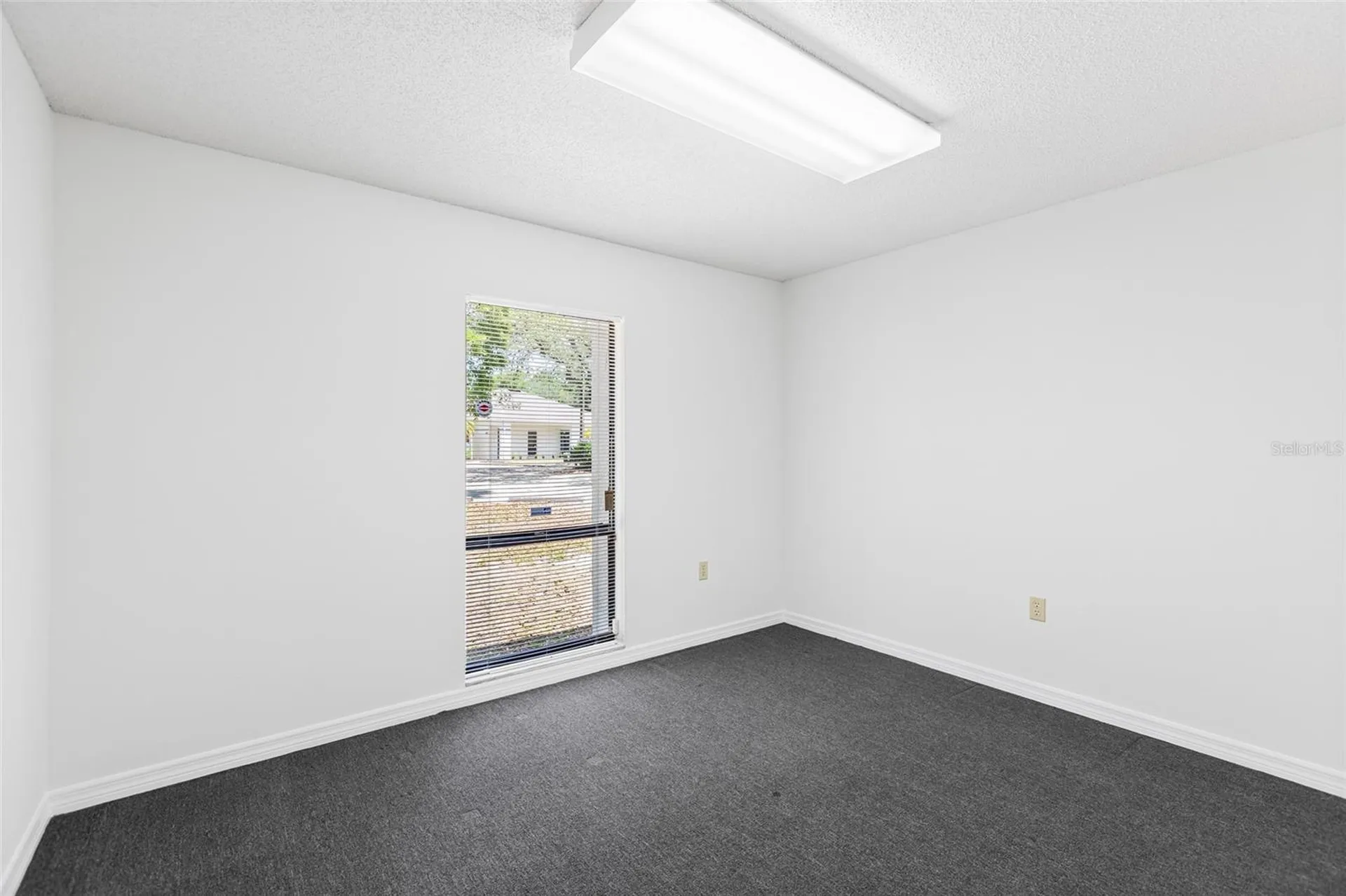 13308 Winding Oak Court Tampa FL 33612