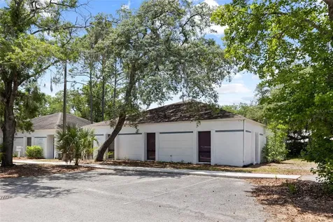 13308 Winding Oak Court Tampa FL 33612
