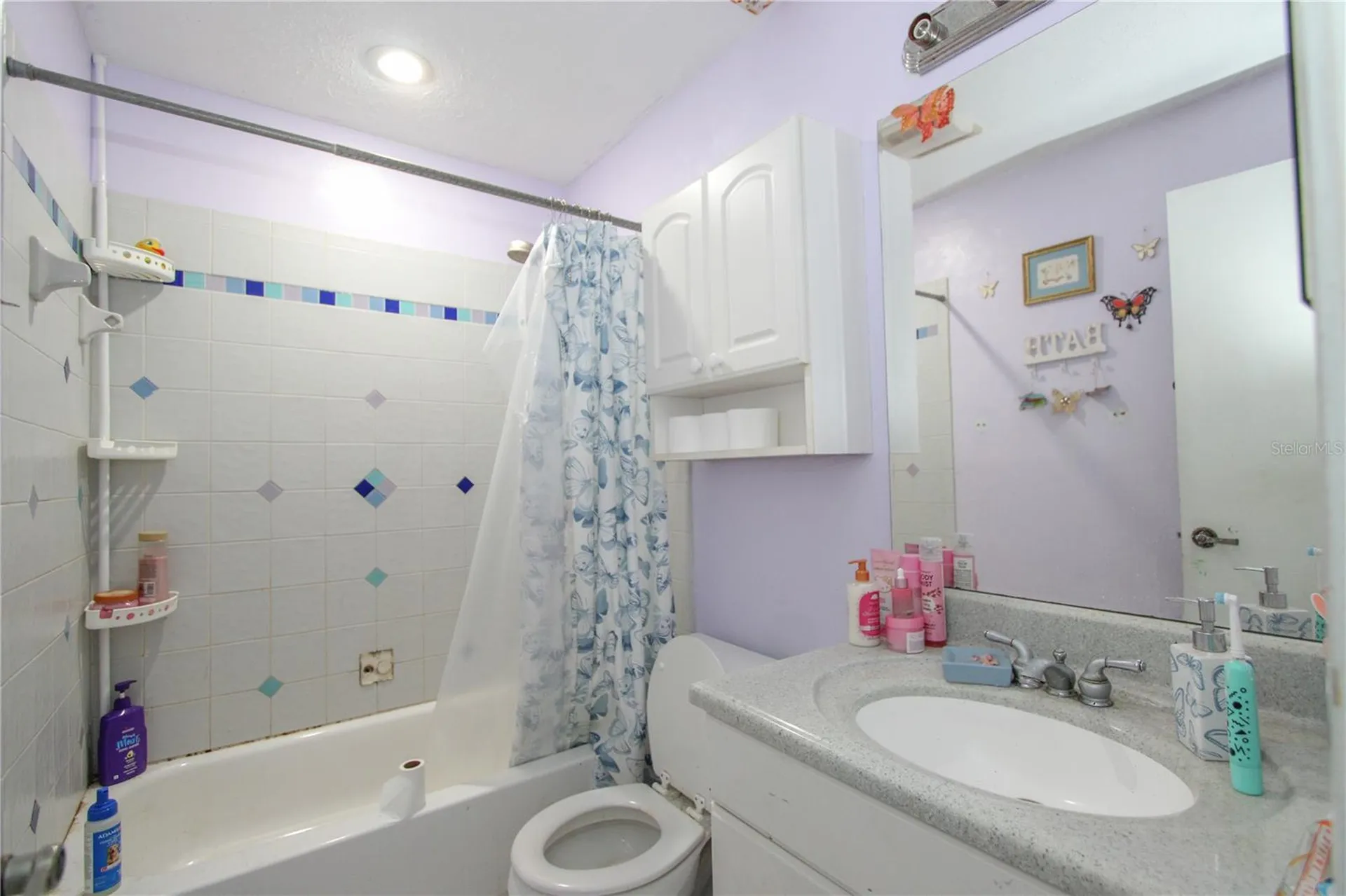 1229 Oak Valley Drive Seffner FL 33584