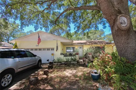 1229 Oak Valley Drive Seffner FL 33584