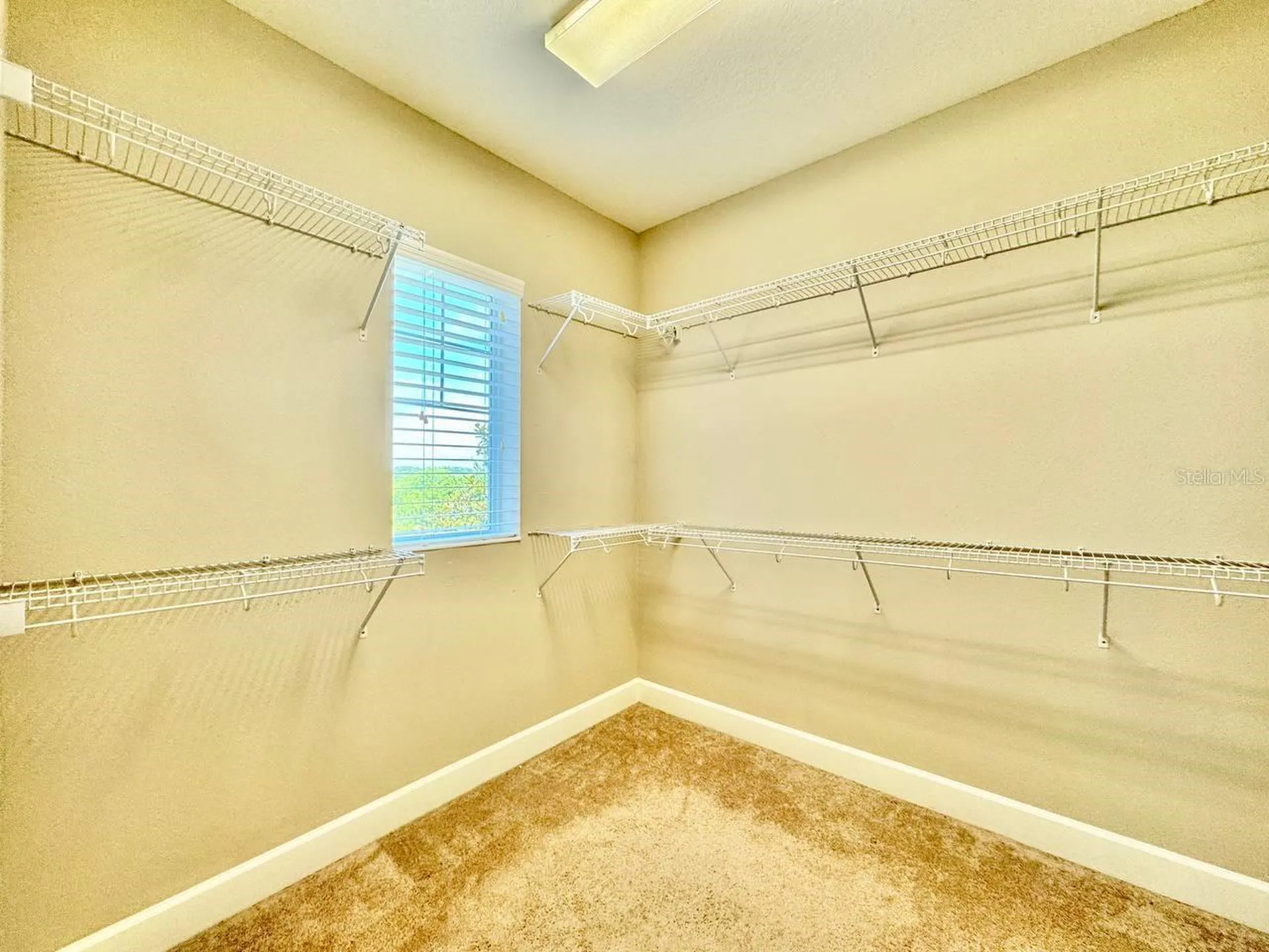 11127 Winthrop Lake Drive Riverview FL 33578