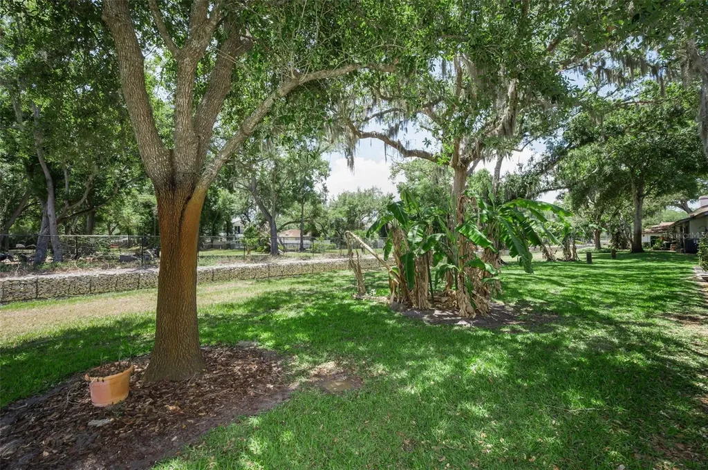 1720 Cypress Trace Drive Safety Harbor FL 34695