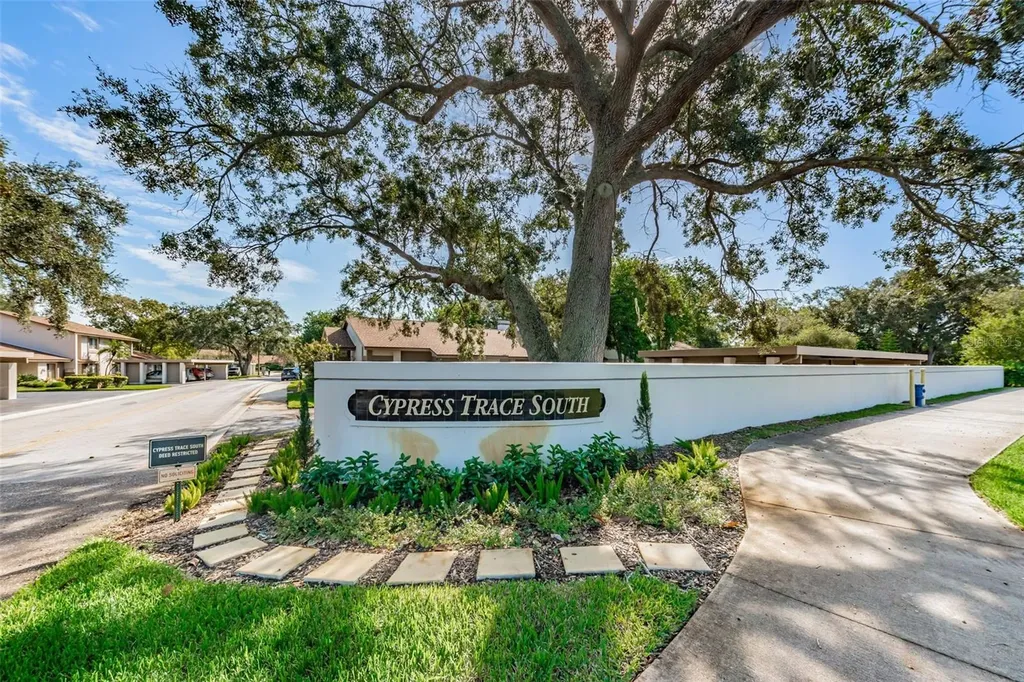 1720 Cypress Trace Drive Safety Harbor FL 34695