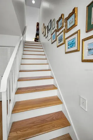 1720 Cypress Trace Drive Safety Harbor FL 34695