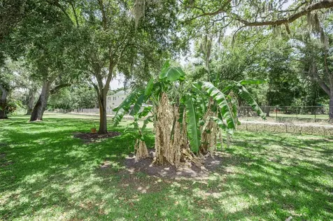 1720 Cypress Trace Drive Safety Harbor FL 34695