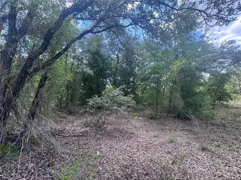 Tbd NE 119th Terrace Williston FL 32696