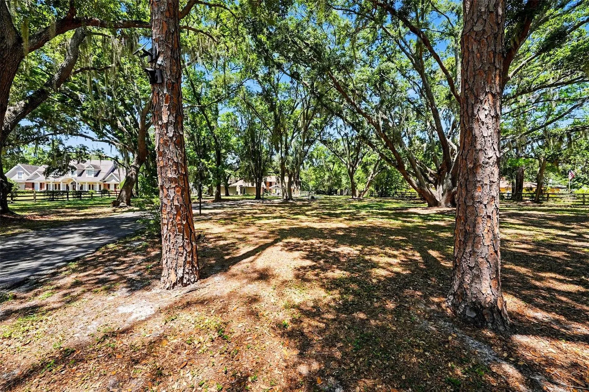 16502 Offenhaur Road Odessa FL 33556