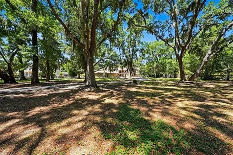 16502 Offenhaur Road Odessa FL 33556