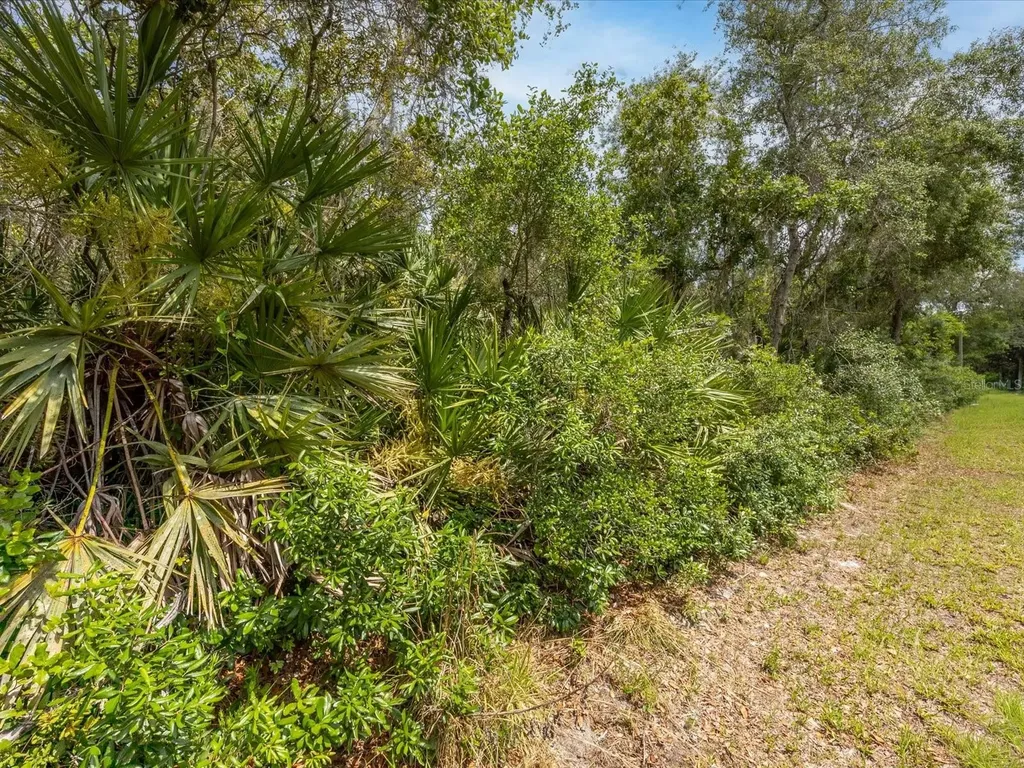 1385 5th Avenue Deland FL 32724