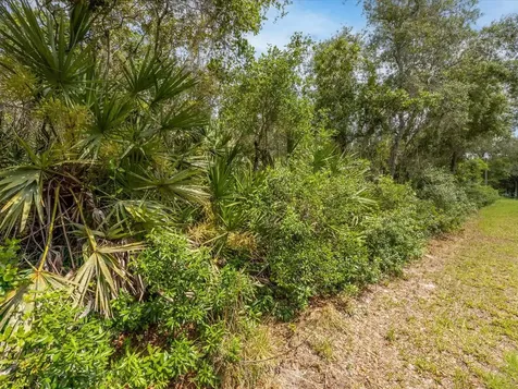 1385 5th Avenue Deland FL 32724