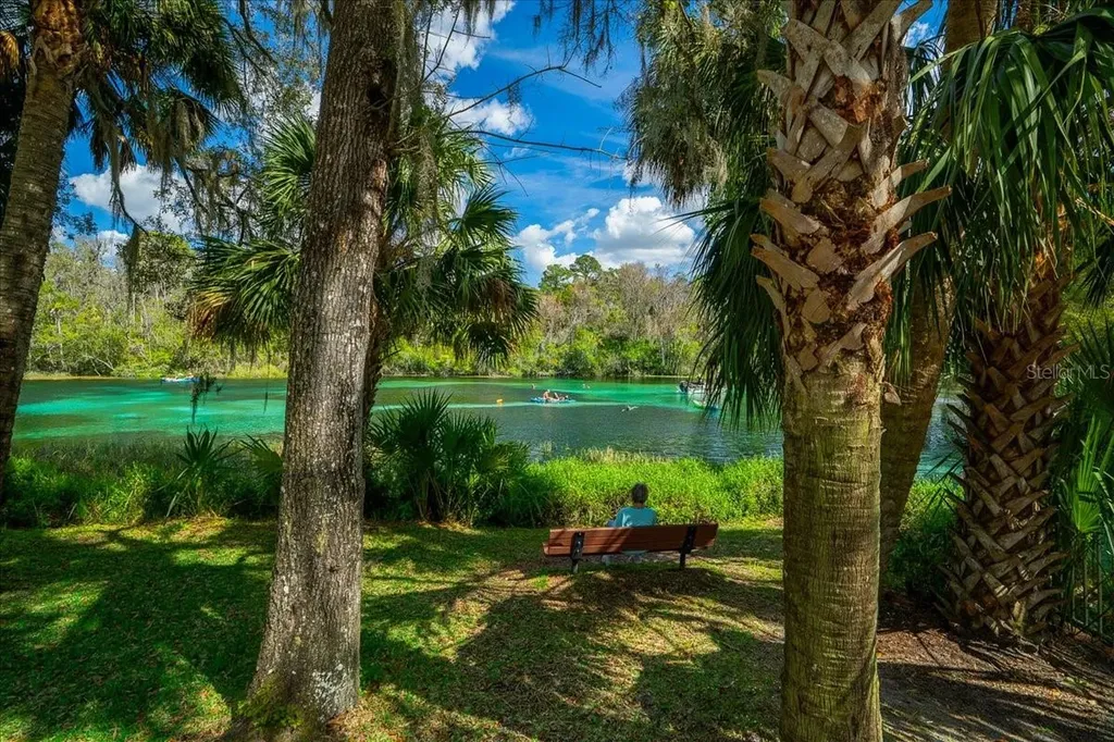8859 SW 196th Avenue Road Dunnellon FL 34432