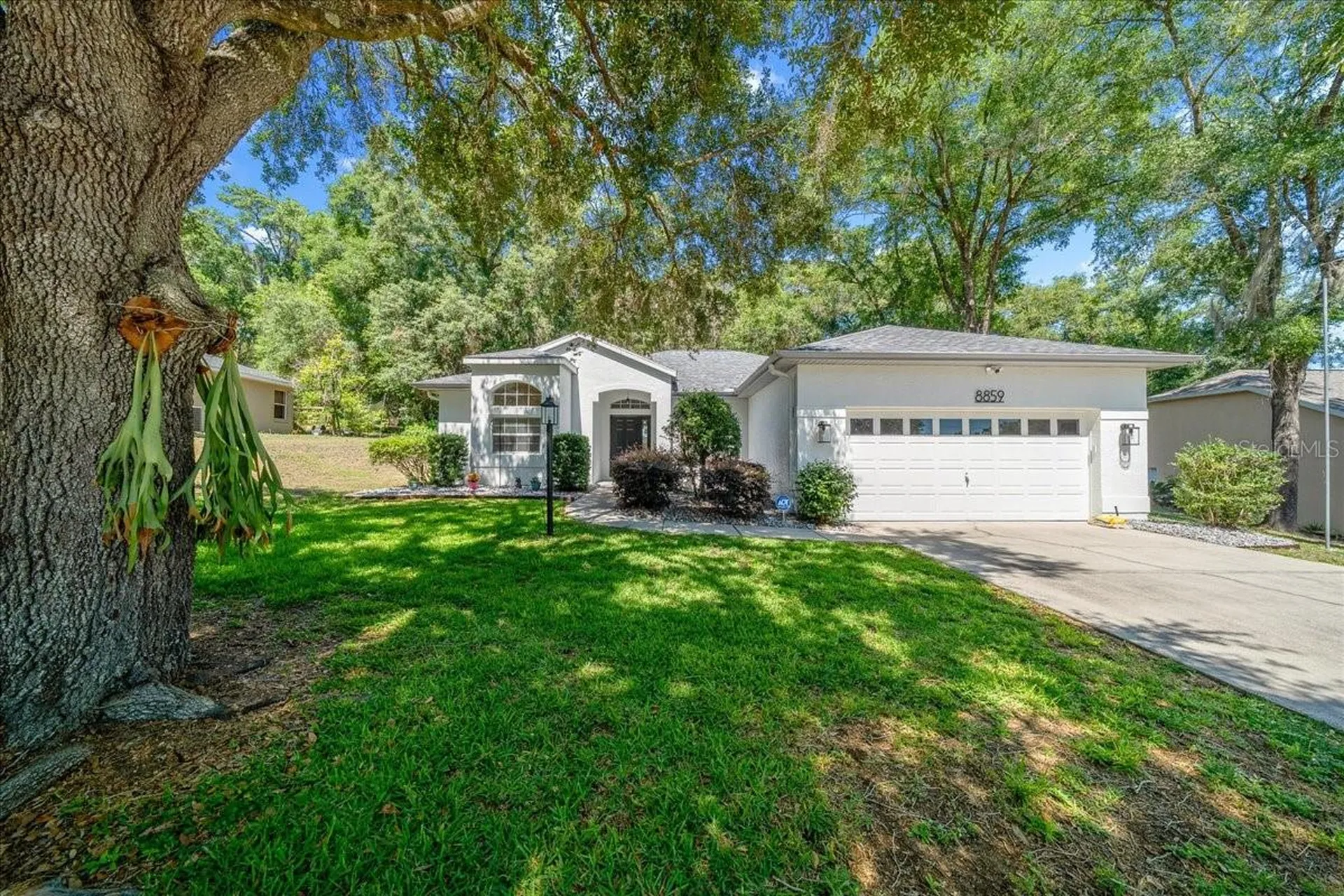 8859 SW 196th Avenue Road Dunnellon FL 34432