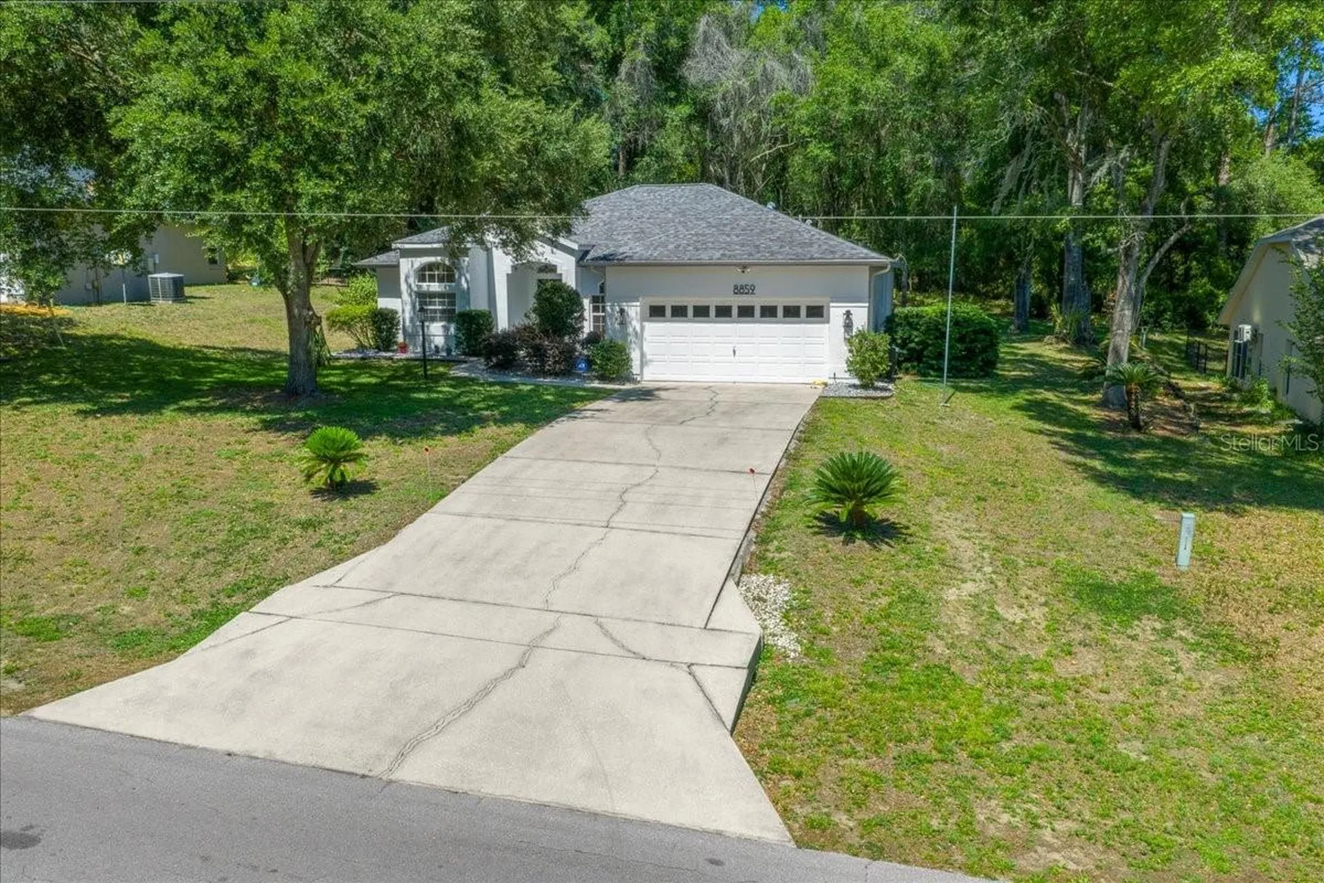 8859 SW 196th Avenue Road Dunnellon FL 34432