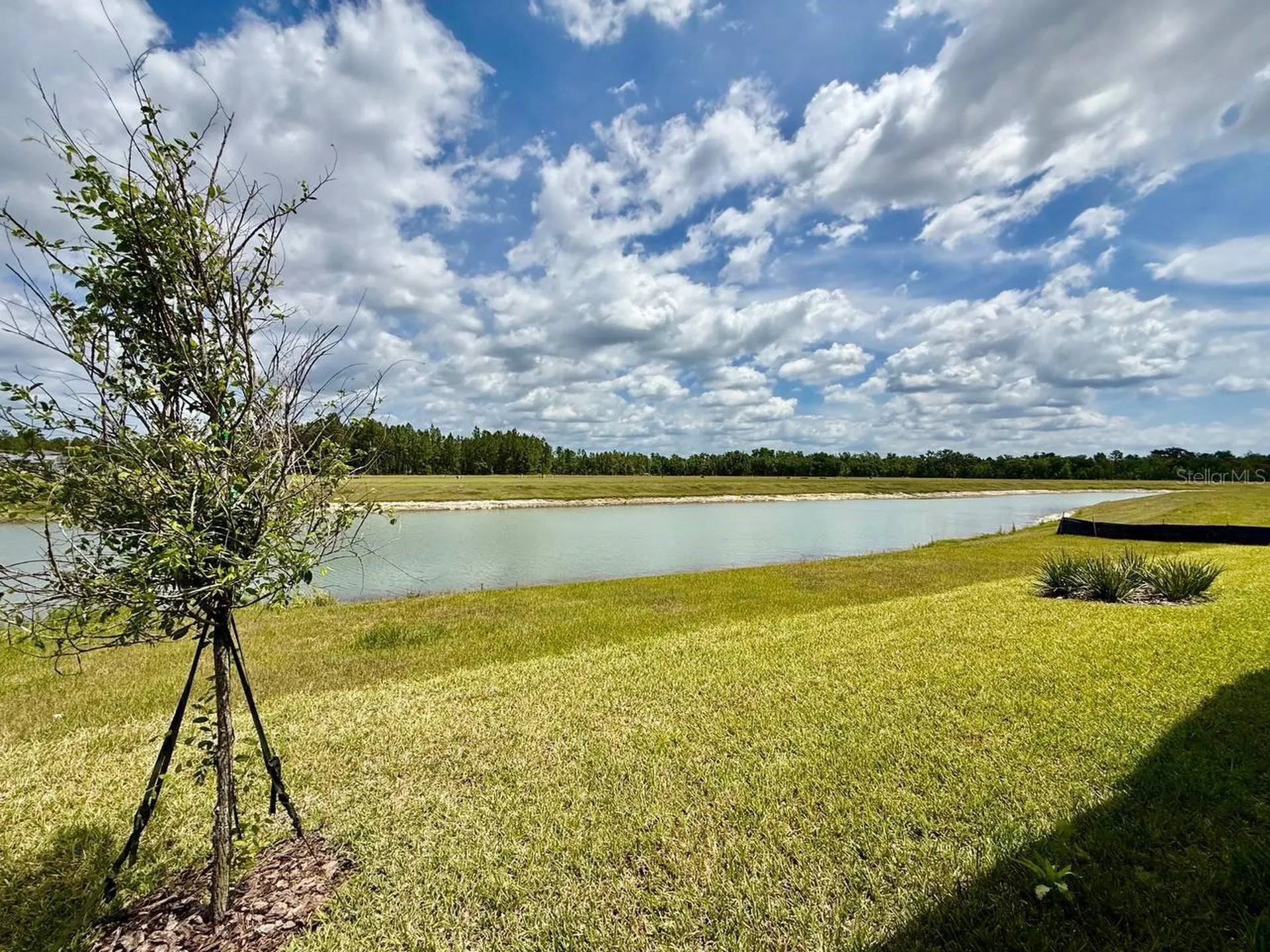 35609 Stableton Lane Zephyrhills FL 33541