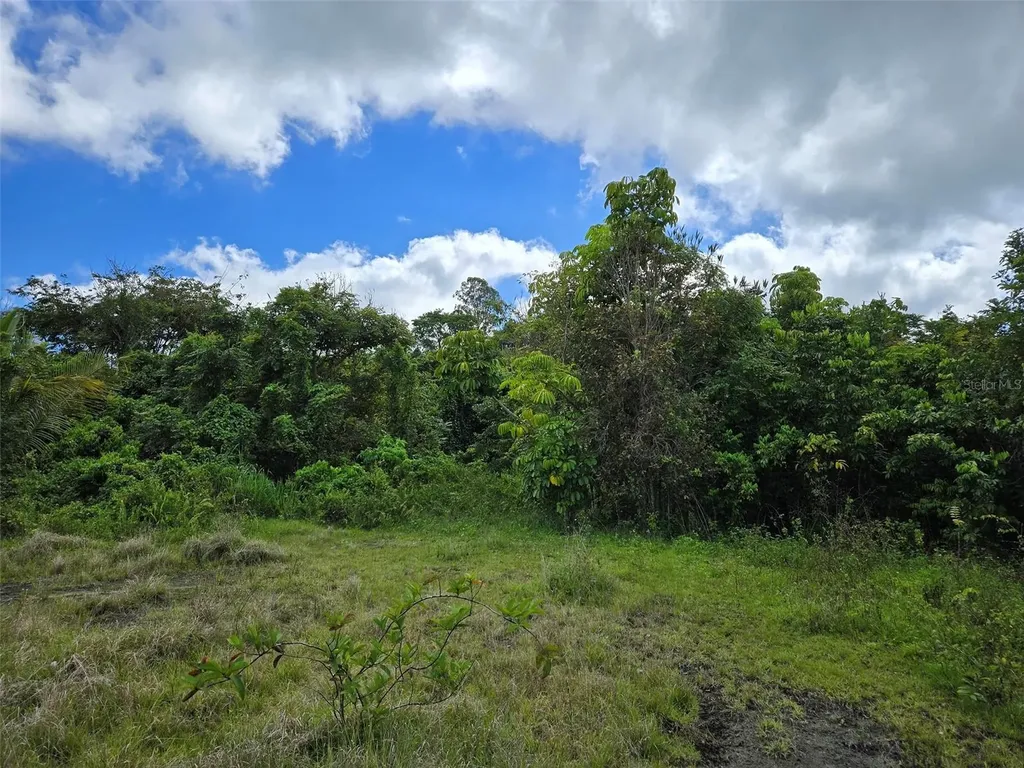 Pr 7718 Km 4.1 Pasto Ward Aibonito PR 00705