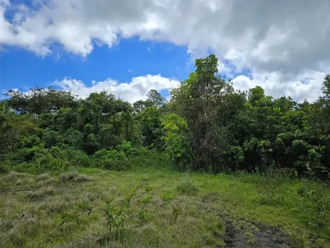 Pr 7718 Km 4.1 Pasto Ward Aibonito PR 00705