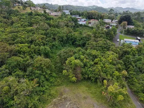 Pr 7718 Km 4.1 Pasto Ward Aibonito PR 00705