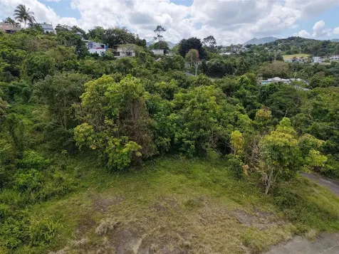 Pr 7718 Km 4.1 Pasto Ward Aibonito PR 00705