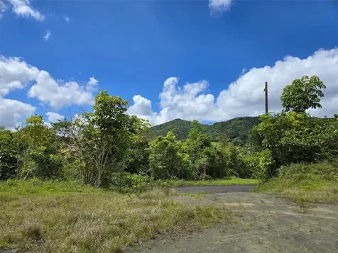 Pr 7718 Km 4.1 Pasto Ward Aibonito PR 00705