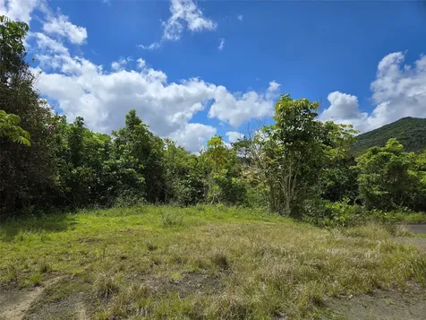 Pr 7718 Km 4.1 Pasto Ward Aibonito PR 00705