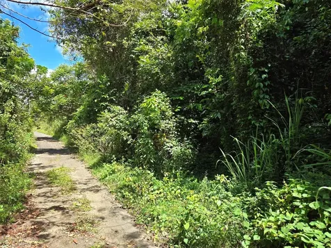 Pr 7718 Km 4.1 Pasto Ward Aibonito PR 00705