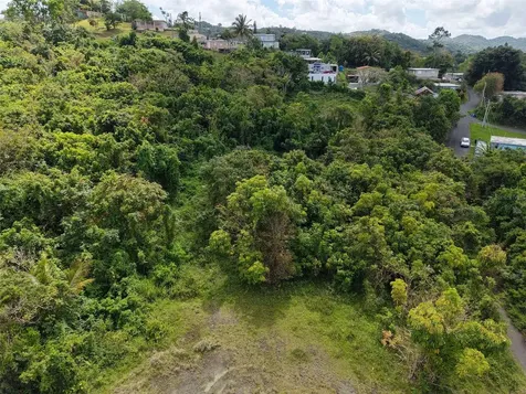 Pr 7718 Km 4.1 Pasto Ward Aibonito PR 00705