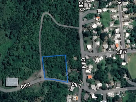 Pr 7718 Km 4.1 Pasto Ward Aibonito PR 00705