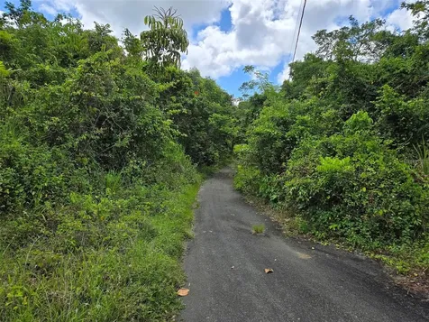 Pr 7718 Km 4.1 Pasto Ward Aibonito PR 00705