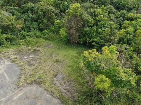 Pr 7718 Km 4.1 Pasto Ward Aibonito PR 00705