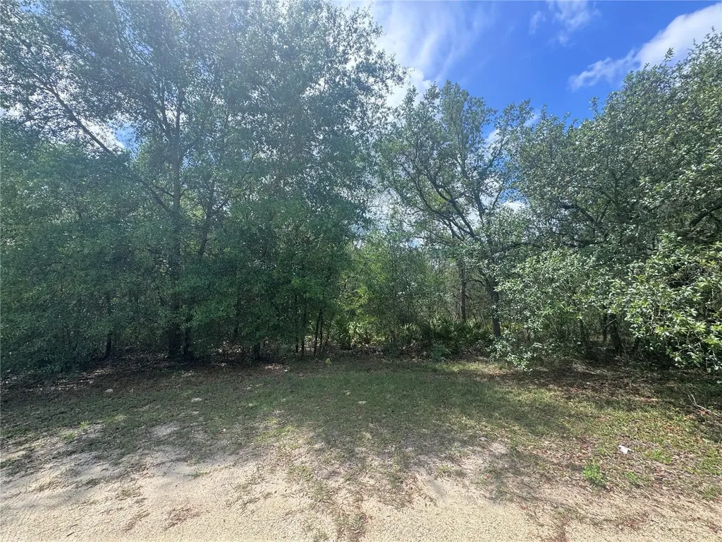 11548 NE 62nd Lane Williston FL 32696