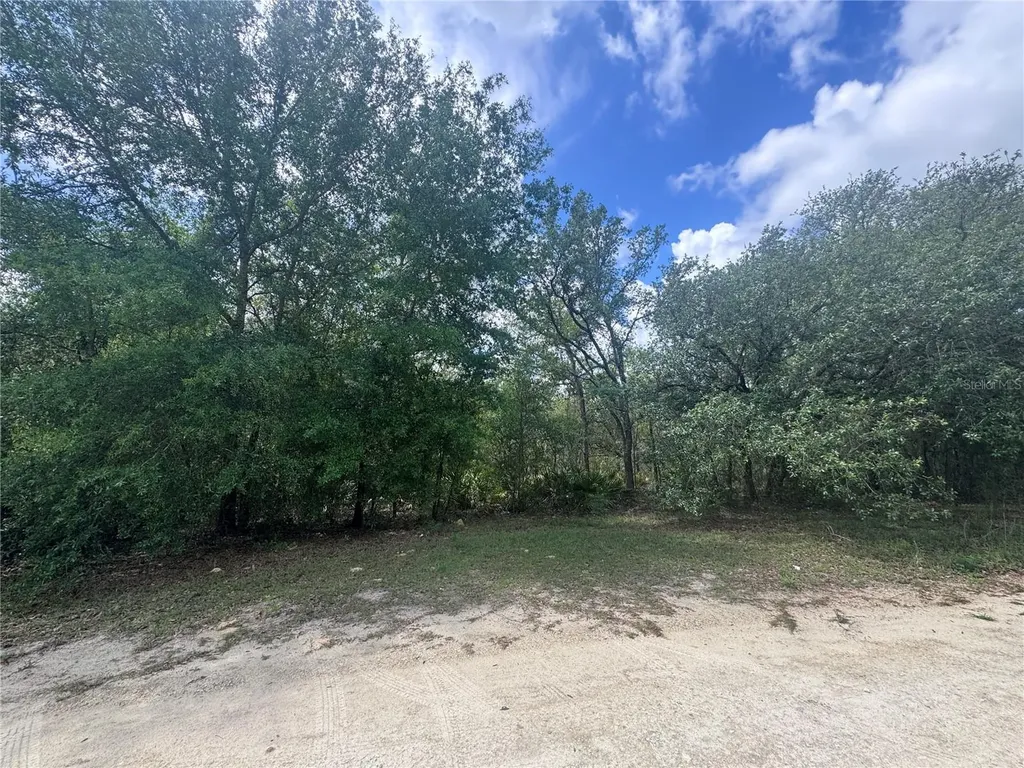 11548 NE 62nd Lane Williston FL 32696