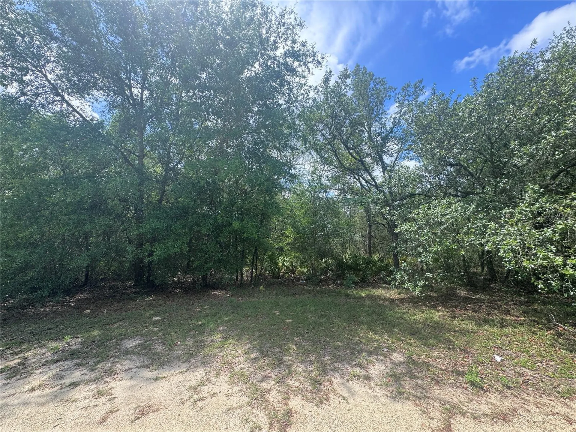 11548 NE 62nd Lane Williston FL 32696